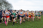 Intermediate girls 2019 New Balance English Schools Cross Country Champs, Temple Newsam, Leeds. Photo:  David T. Hewitson/Sports for All Pics